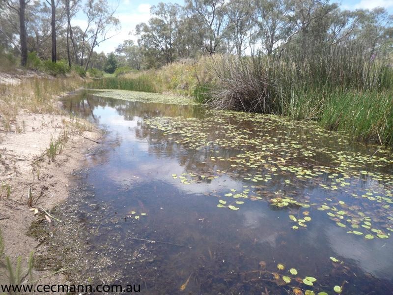 Lot 3 Gillbard Road, Stanthorpe QLD 4380