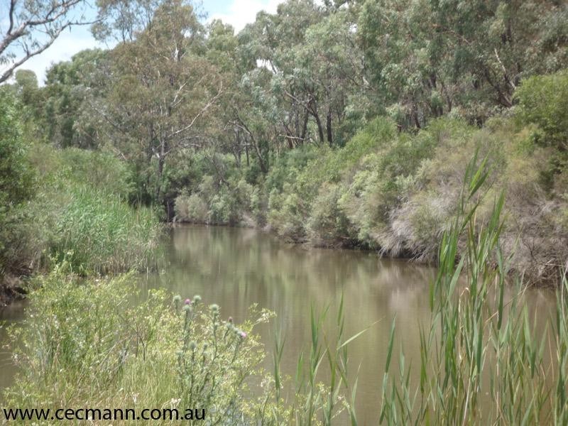 Lot 3 Gillbard Road, Stanthorpe QLD 4380