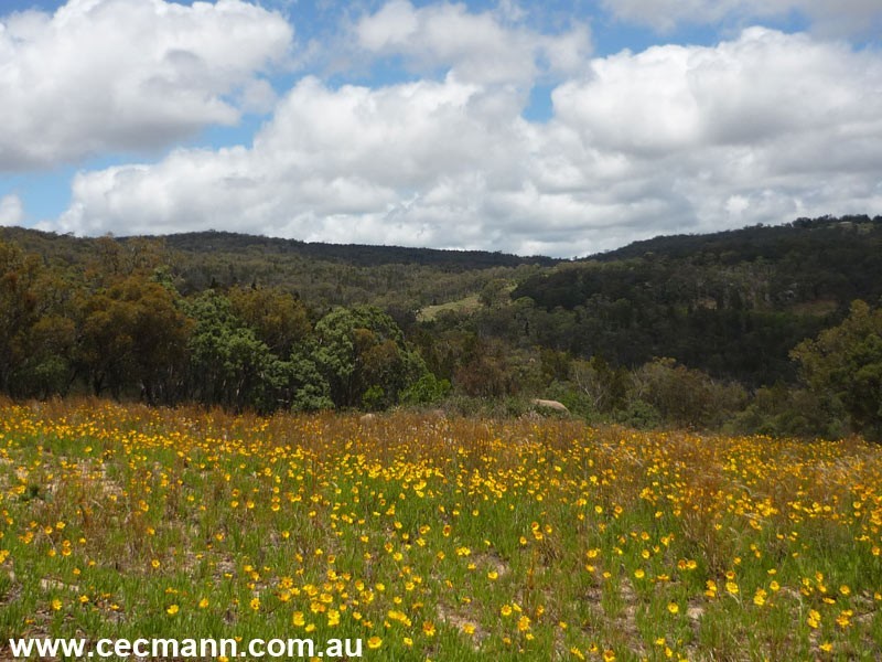 Lot 562 Carnell Road, Stanthorpe QLD 4380