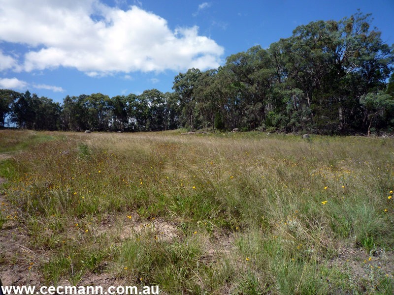 Lot 562 Carnell Road, Stanthorpe QLD 4380
