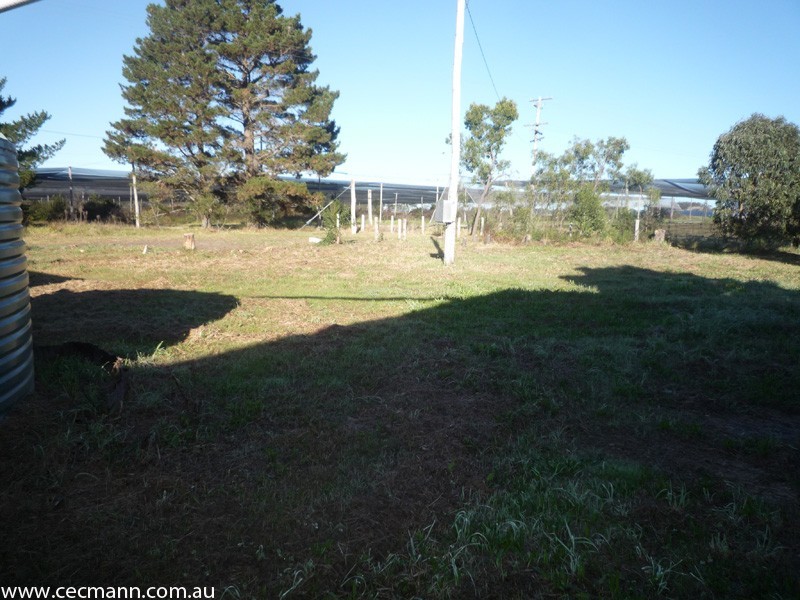 195 Newlands Road, Stanthorpe QLD 4380