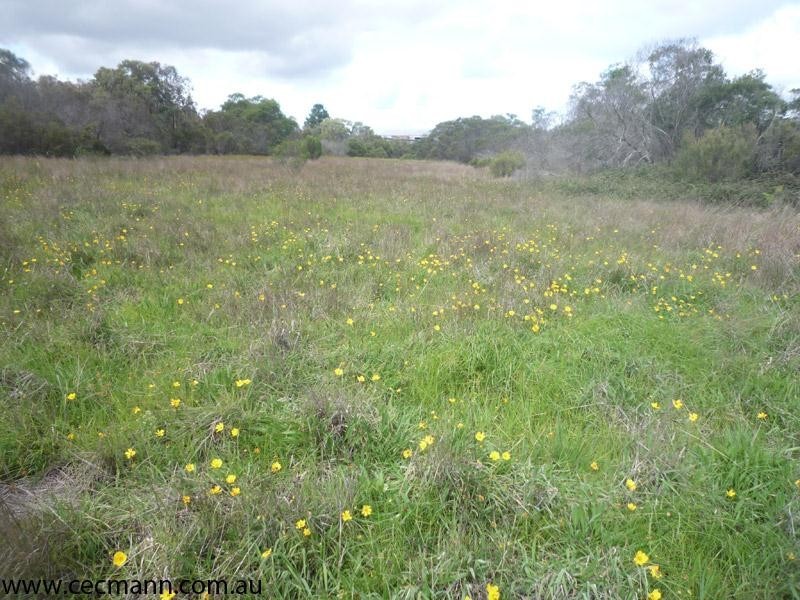 Lot 2 Ellwood Road, Stanthorpe QLD 4380