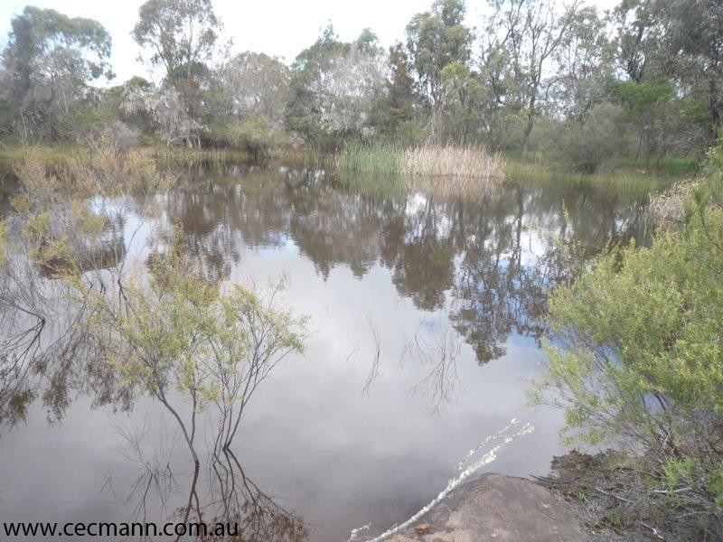 Lot 2 Ellwood Road, Stanthorpe QLD 4380