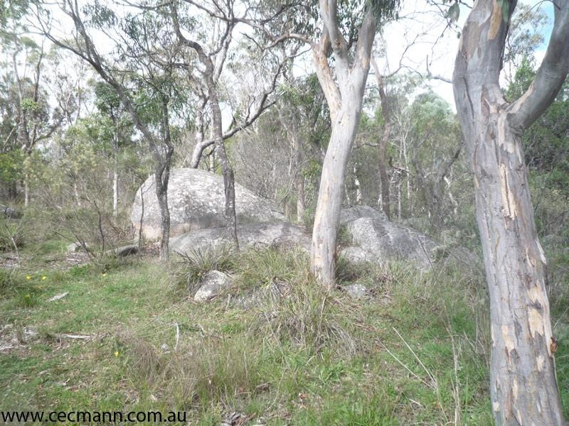 Lot 2 Ellwood Road, Stanthorpe QLD 4380