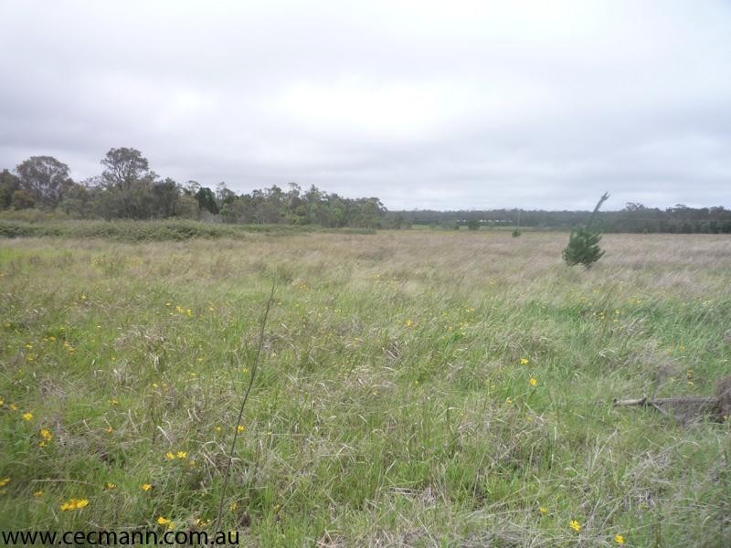 Lot 2 Ellwood Road, Stanthorpe QLD 4380