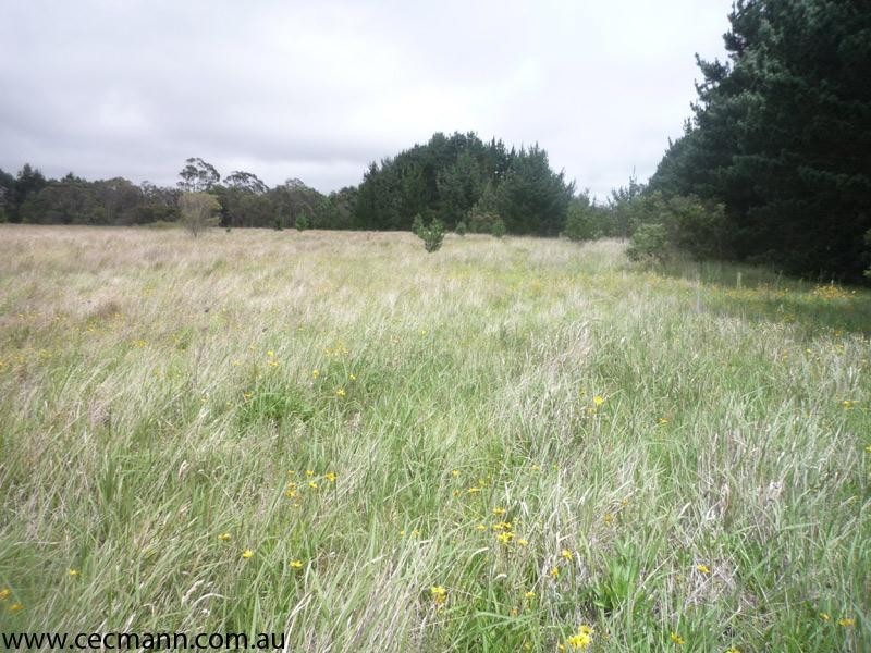 Lot 2 Ellwood Road, Stanthorpe QLD 4380
