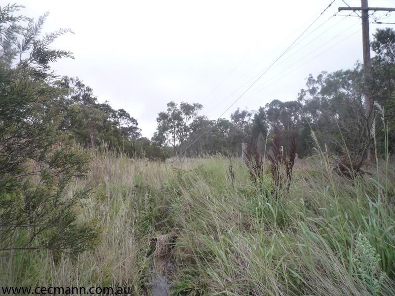 Lot 2 Ellwood Road, Stanthorpe QLD 4380