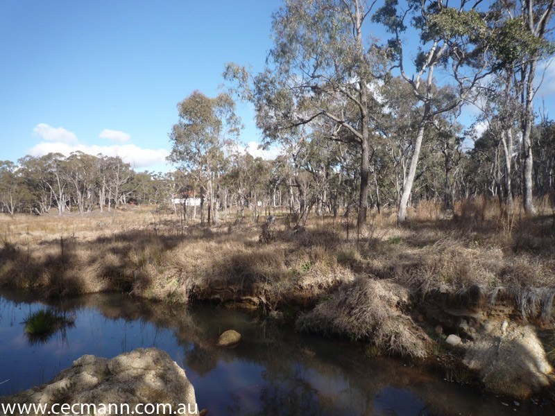 Lode Creek Road, Stanthorpe QLD 4380