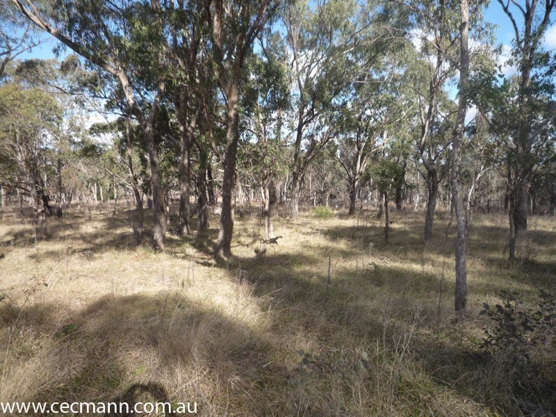 Lode Creek Road, Stanthorpe QLD 4380