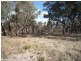 Lode Creek Road, Stanthorpe QLD 4380