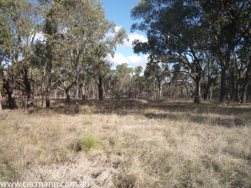 Lode Creek Road, Stanthorpe QLD 4380