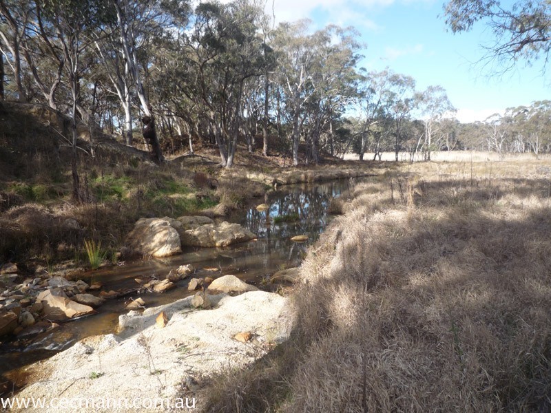 Lode Creek Road, Stanthorpe QLD 4380