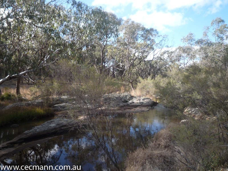Lode Creek Road, Stanthorpe QLD 4380