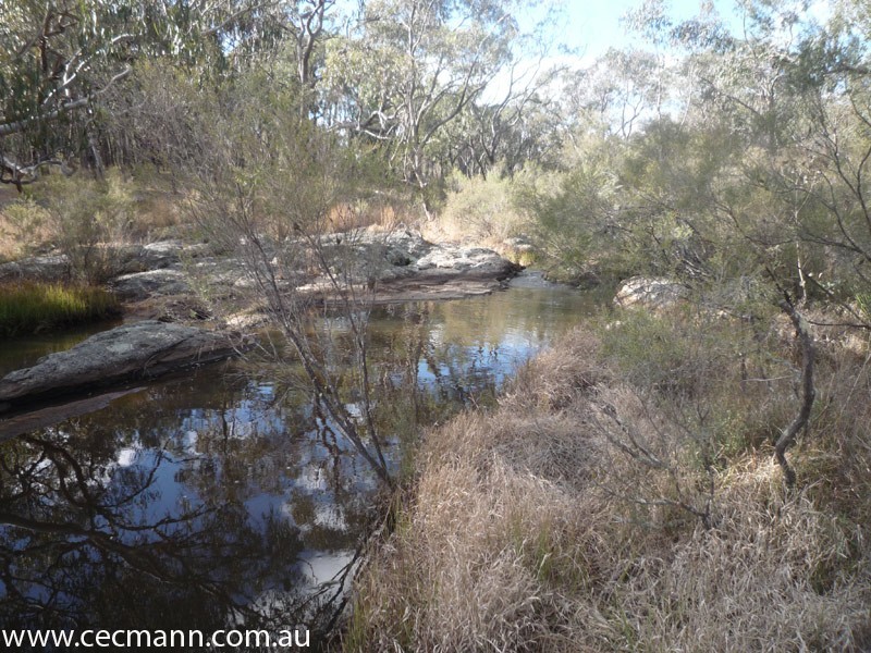 Lode Creek Road, Stanthorpe QLD 4380