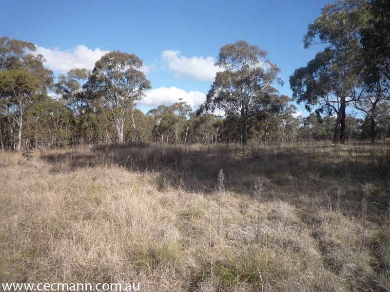 Lode Creek Road, Stanthorpe QLD 4380
