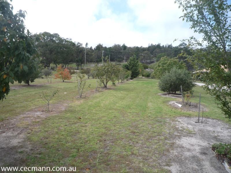 8 Brunckhorst Avenue, Stanthorpe QLD 4380