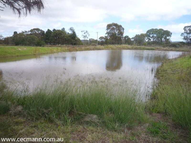 8 Brunckhorst Avenue, Stanthorpe QLD 4380