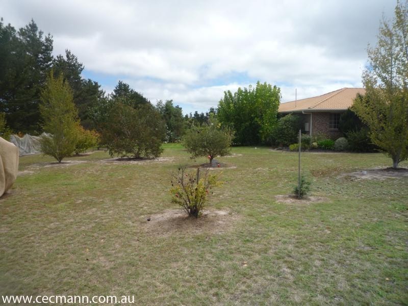 8 Brunckhorst Avenue, Stanthorpe QLD 4380