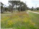 Lot 3 Kriedemann Road, Stanthorpe QLD 4380