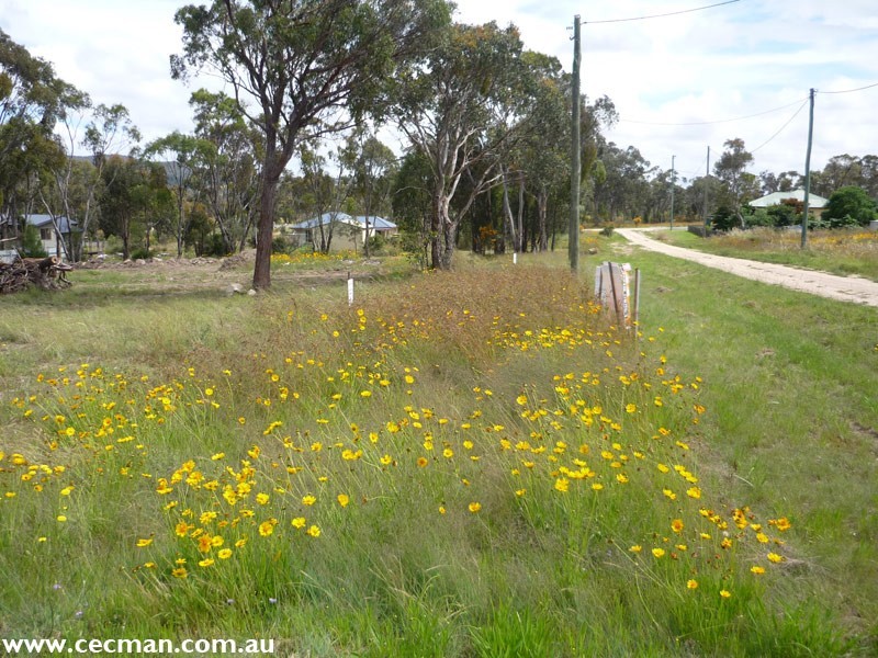 Lot 3 Kriedemann Road, Stanthorpe QLD 4380