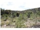 Lot 1477 Brown Gully Road, Stanthorpe QLD 4380