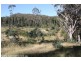 Lot 1477 Brown Gully Road, Stanthorpe QLD 4380