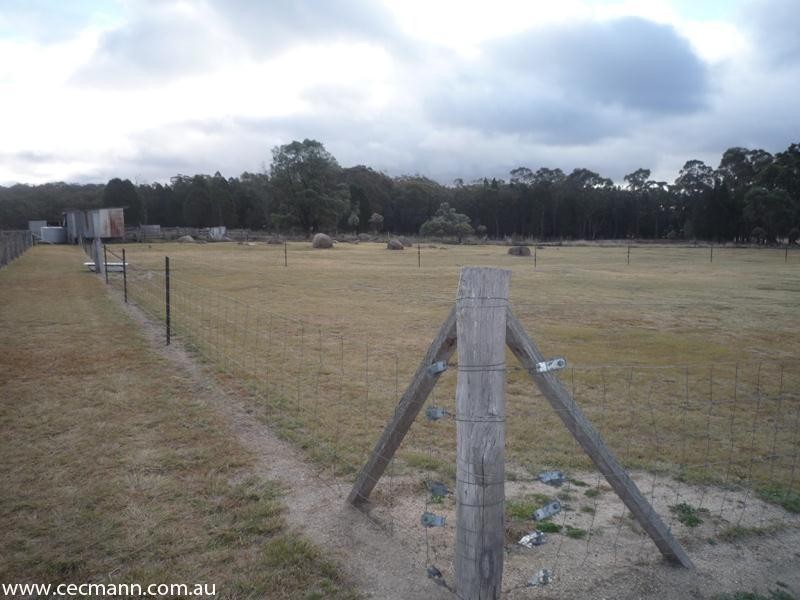 751 Spring Creek Road, Stanthorpe QLD 4380