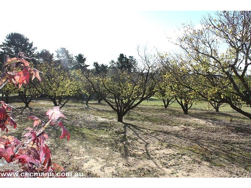 52 Tunnel Road, Stanthorpe QLD 4380