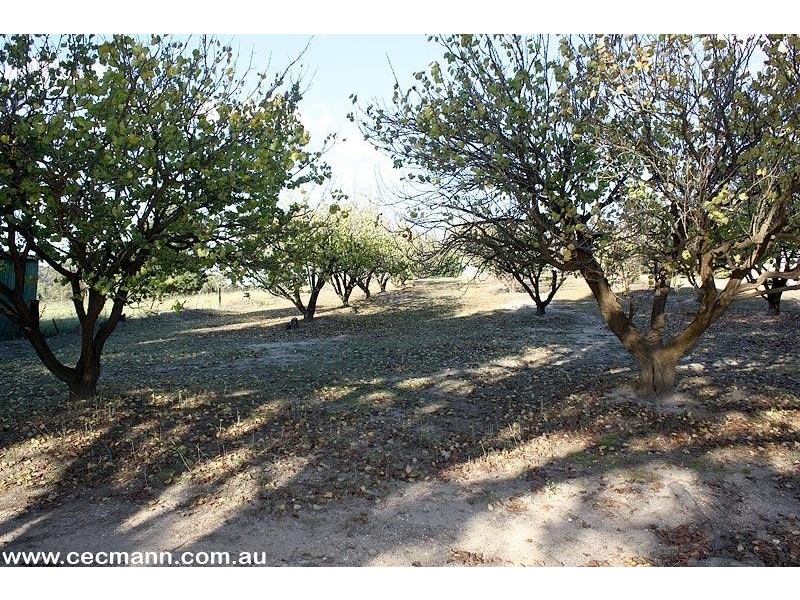 52 Tunnel Road, Stanthorpe QLD 4380