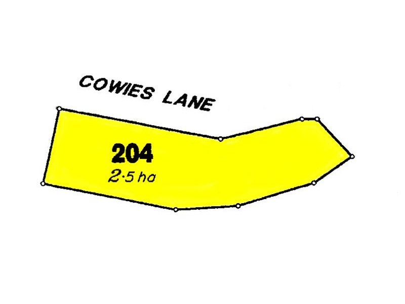 Lot 204 Cowies Lane, Stanthorpe QLD 4380