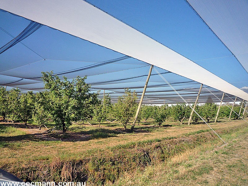 2772 Amiens Road, Stanthorpe QLD 4380