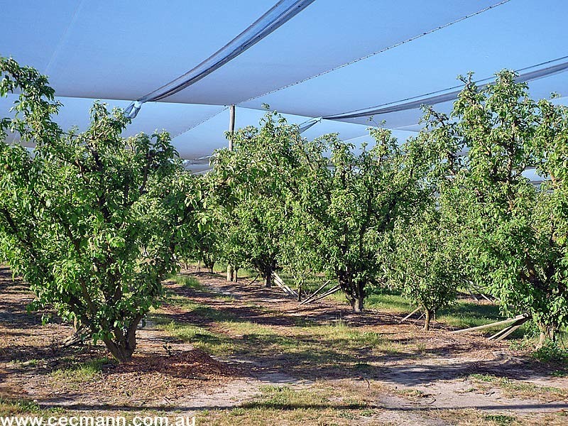 2772 Amiens Road, Stanthorpe QLD 4380