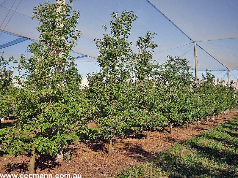 2772 Amiens Road, Stanthorpe QLD 4380