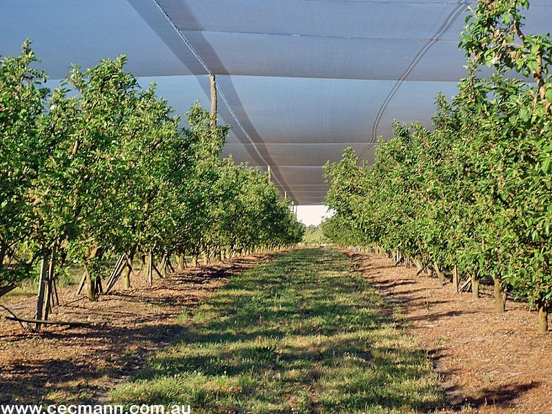 2772 Amiens Road, Stanthorpe QLD 4380