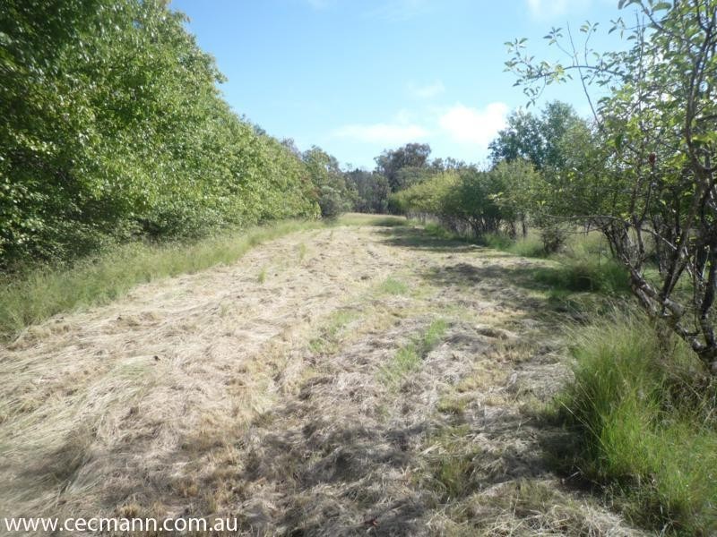 137 Swans Lane, Stanthorpe QLD 4380