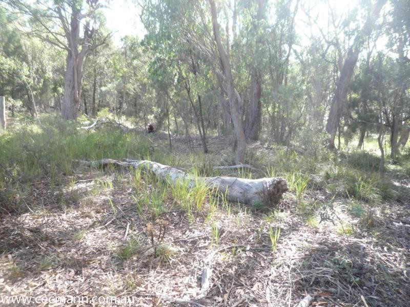 137 Swans Lane, Stanthorpe QLD 4380