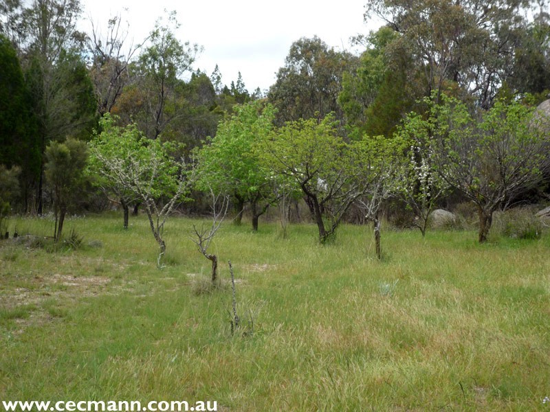 113 Minuti Lane, Stanthorpe QLD 4380