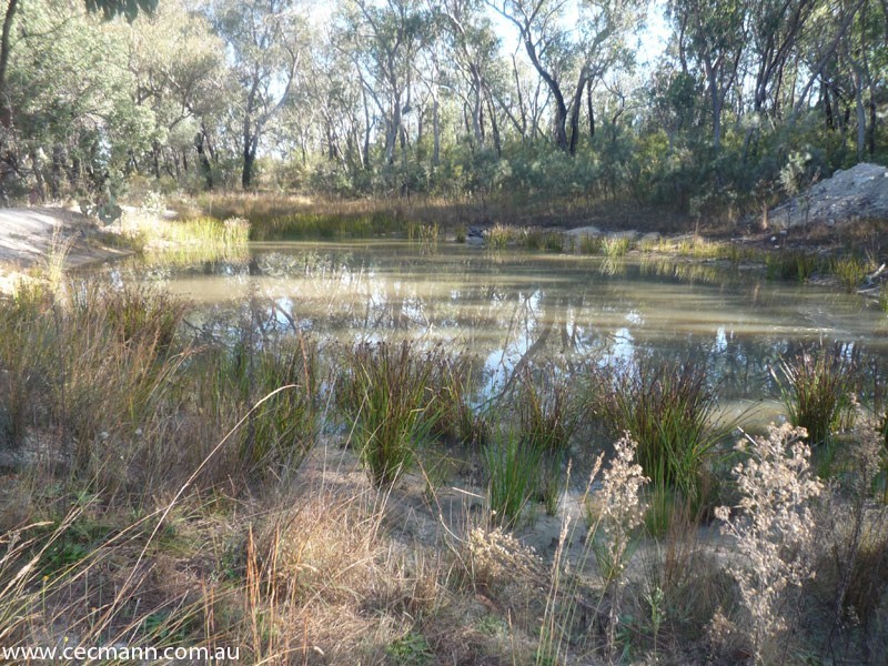 71 Hoey Lane, Stanthorpe QLD 4380