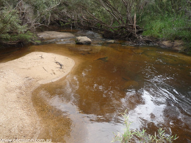 Wylie Creek Road, Stanthorpe QLD 4380