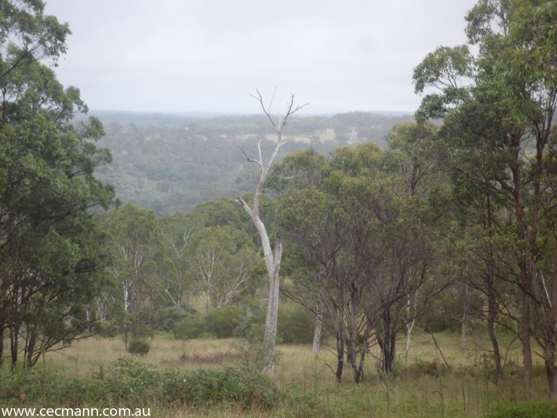 Wylie Creek Road, Stanthorpe QLD 4380