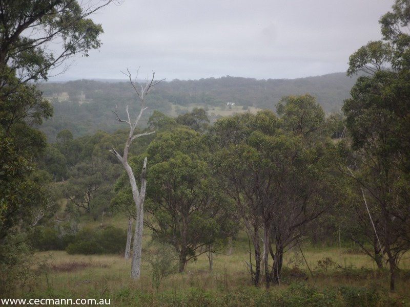 Wylie Creek Road, Stanthorpe QLD 4380