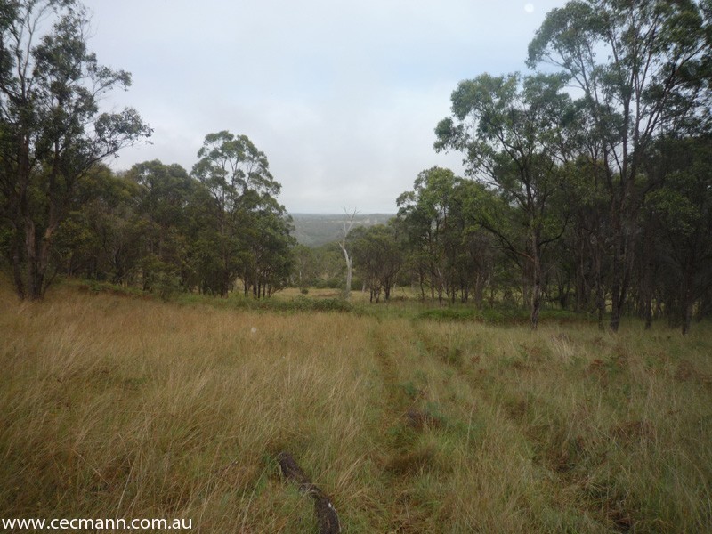 Wylie Creek Road, Stanthorpe QLD 4380