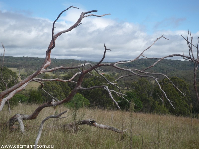 Wylie Creek Road, Stanthorpe QLD 4380