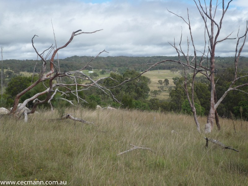 Wylie Creek Road, Stanthorpe QLD 4380