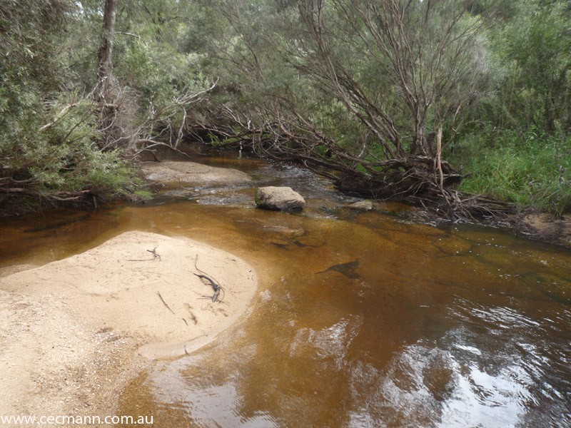 Wylie Creek Road, Stanthorpe QLD 4380