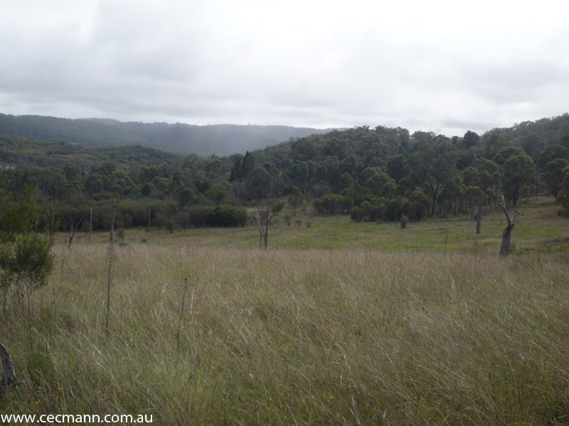 Wylie Creek Road, Stanthorpe QLD 4380