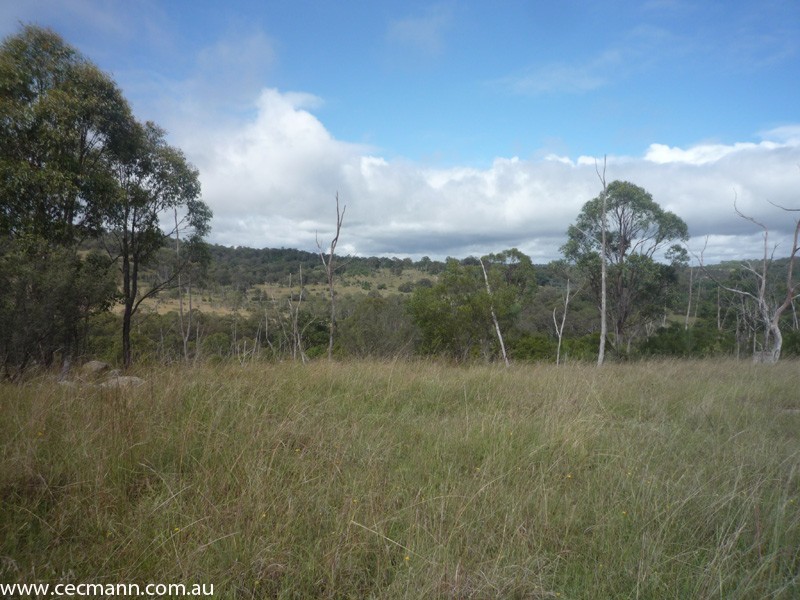 Wylie Creek Road, Stanthorpe QLD 4380
