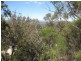 Lot 31 Glenlyon Drive, Stanthorpe QLD 4380