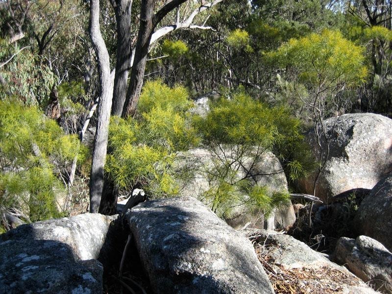 Lot 31 Glenlyon Drive, Stanthorpe QLD 4380