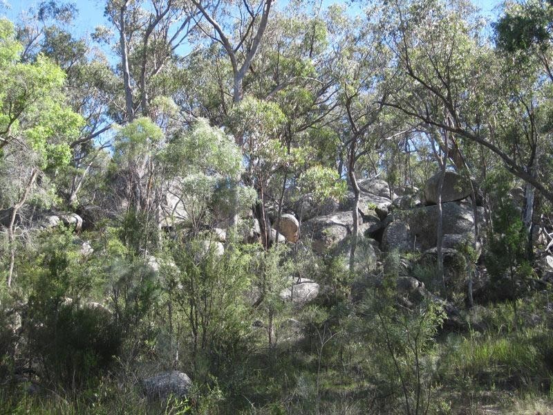 Lot 31 Glenlyon Drive, Stanthorpe QLD 4380